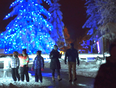 Wild Lights event/fundraiser