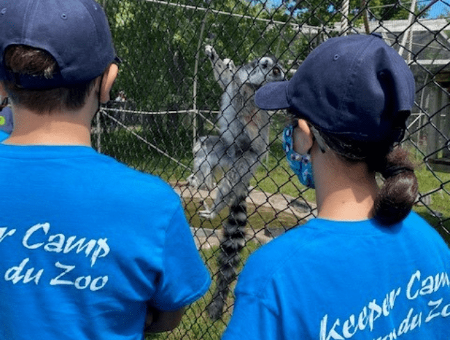 Le camp accros du zoo