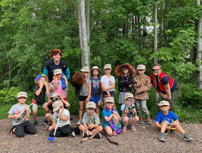 Animal habitats theme