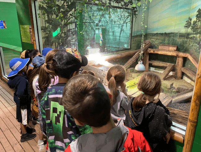 Visites des groupes scolaires