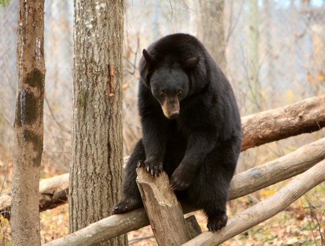 CE QU’IL FAUT APPORTER