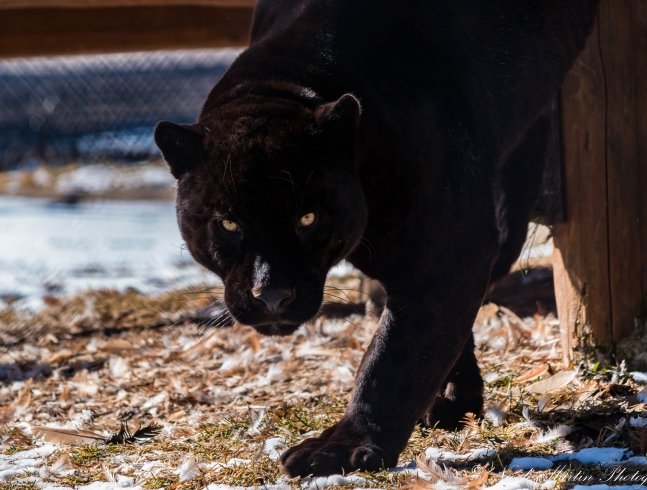 INFORMATIONS SUPPLÉMENTAIRES