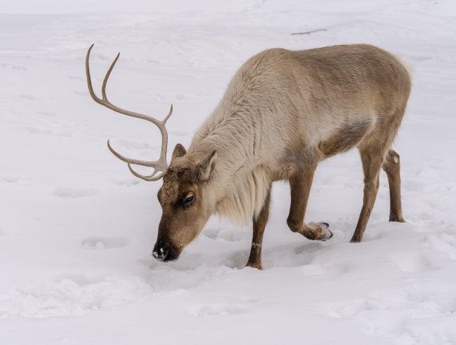 DATES, HEURES ET THÈME