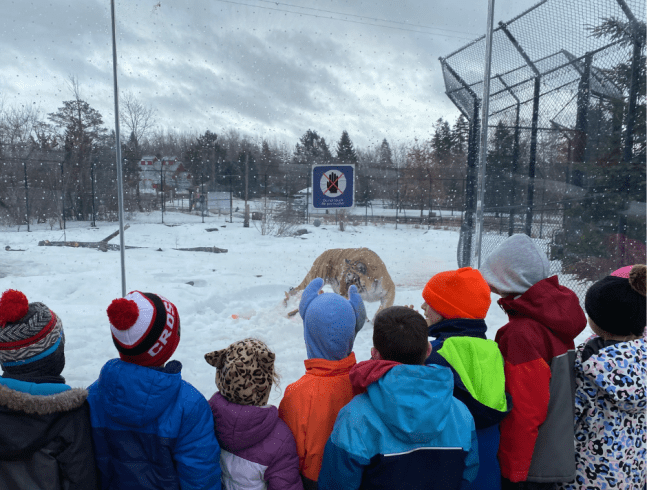 CAMP DE ZOO DU CONGÉ DE MARS