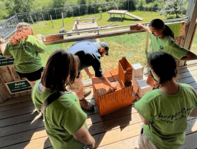 Helping visitors learn