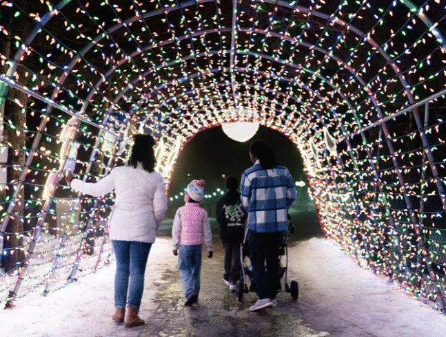 Wild Lights 2026